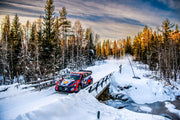 FIA World Rally Championship